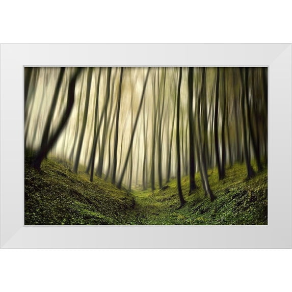 Krivec, Samanta 24x17 White Modern Wood Framed Museum Art Print Titled - Run forest run