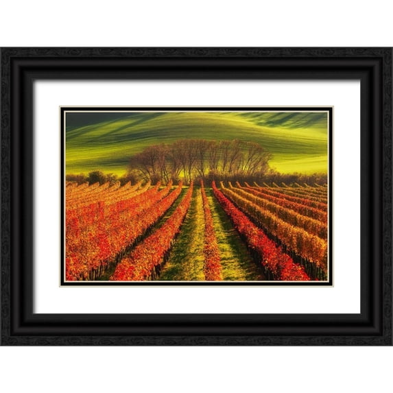 Krol, Piotr 14x10 Black Ornate Wood Framed with Double Matting Museum Art Print Titled - Vine-Growing