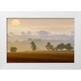 thumbnail image 1 of Krol, Piotr 24x17 White Modern Wood Framed Museum Art Print Titled - Morning View, 1 of 4