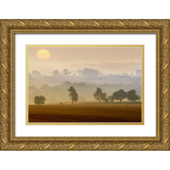 Krol, Piotr 32x23 Gold Ornate Wood Framed with Double Matting Museum Art Print Titled - Morning View