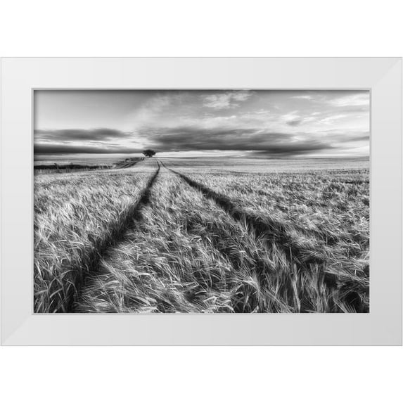 Krol, Piotr 32x23 White Modern Wood Framed Museum Art Print Titled - Countryside