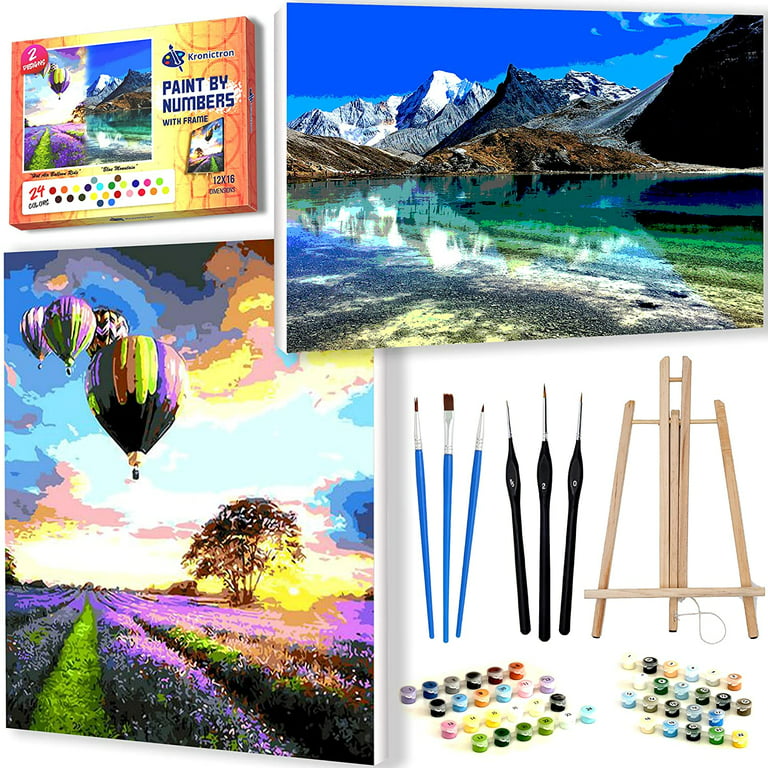 Kronictron Paint By Numbers Art Kit (9 Pieces) 