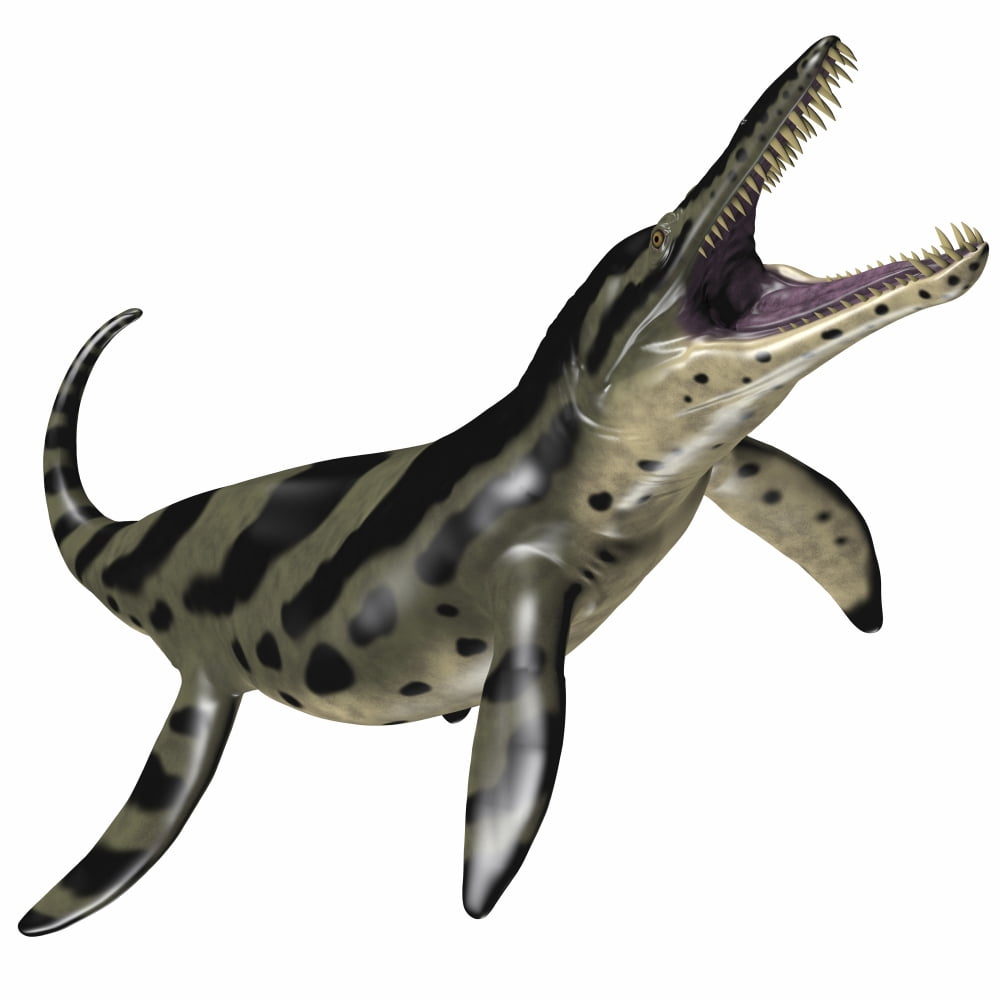 Kronosaurus was a marine reptile from the Cretaceous period Canvas Art - Corey FordStocktrek Images (29 x 29)