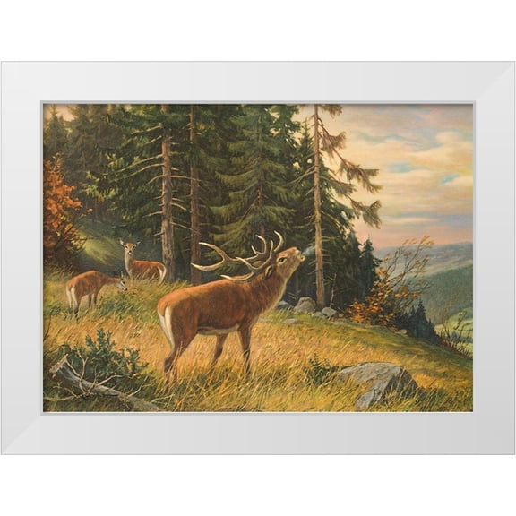 Krueger, E. 14x11 White Modern Wood Framed Museum Art Print Titled - RUTTING SEASON OF STAGS