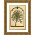 thumbnail image 1 of Kruskamp, Janet 11x14 Gold Ornate Wood Framed with Double Matting Museum Art Print Titled - Classical Pear, 1 of 4