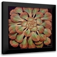 thumbnail image 1 of Kruskamp, Janet 20x20 Black Modern Framed Museum Art Print Titled - Succulent II, 1 of 5