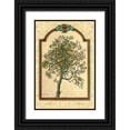 thumbnail image 1 of Kruskamp, Janet 23x32 Black Ornate Wood Framed with Double Matting Museum Art Print Titled - Classical Pear, 1 of 4