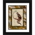 thumbnail image 1 of Kruskamp, Janet 25x32 Black Ornate Wood Framed with Double Matting Museum Art Print Titled - Squirrel Monkey, 1 of 4