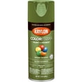 thumbnail image 1 of Krylon Diversified Brands K05538007 Krylon COLORmaxx Seaweed Gloss - Quantity 1, 1 of 7