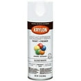 thumbnail image 1 of Krylon Diversified Brands K05545007 Krylon COLORmaxx Gloss White - Quantity 6, 1 of 2