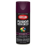 Krylon Fusion All-In-One, Matte, Sweet Fig, 12 oz.