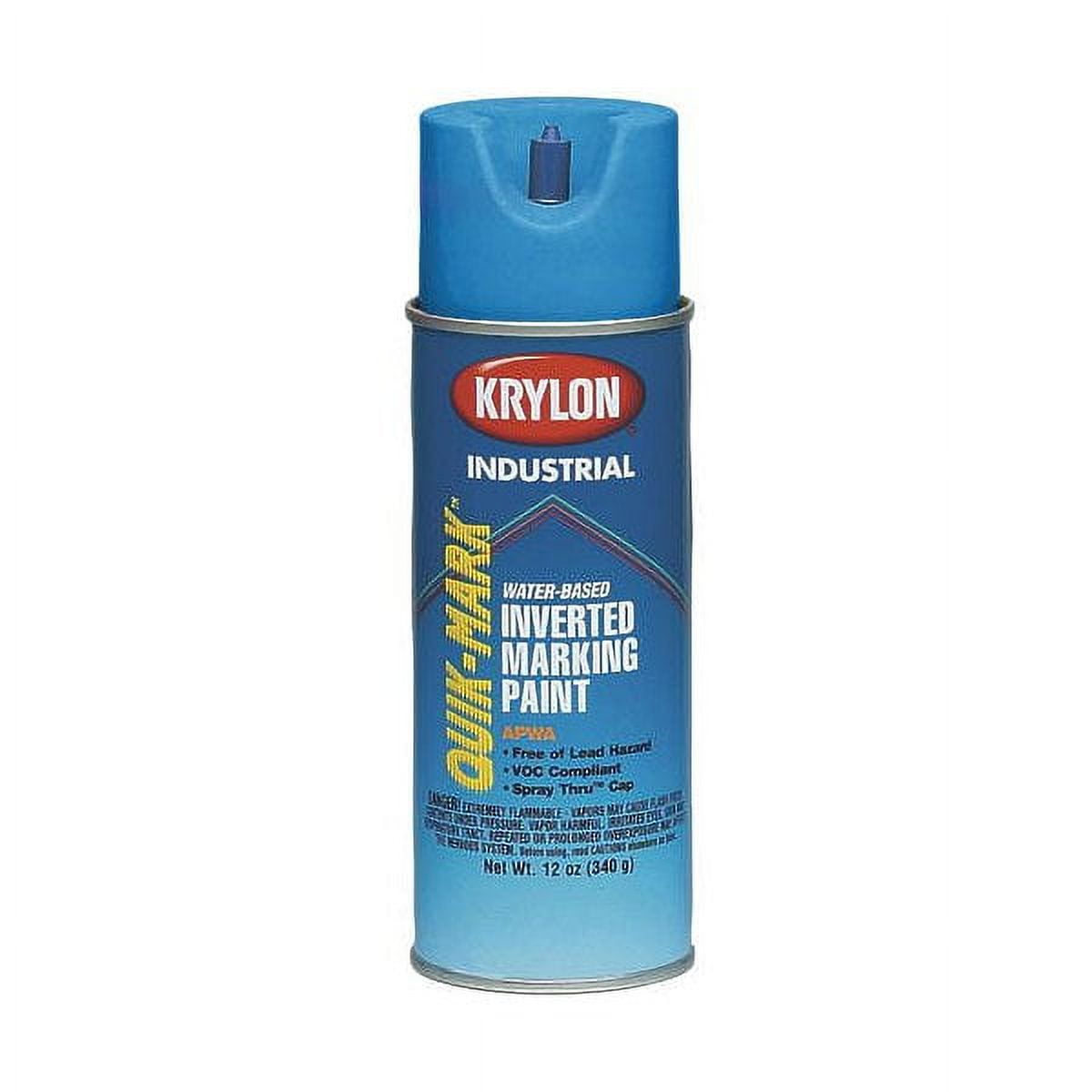 Pintyplus Aqua Spray Paint - Art Set of 8 Water Based 4.2oz Mini Spray  Paint Cans. Ultra Matte Finish. Perfect For Arts & Crafts. Spray Paint Set