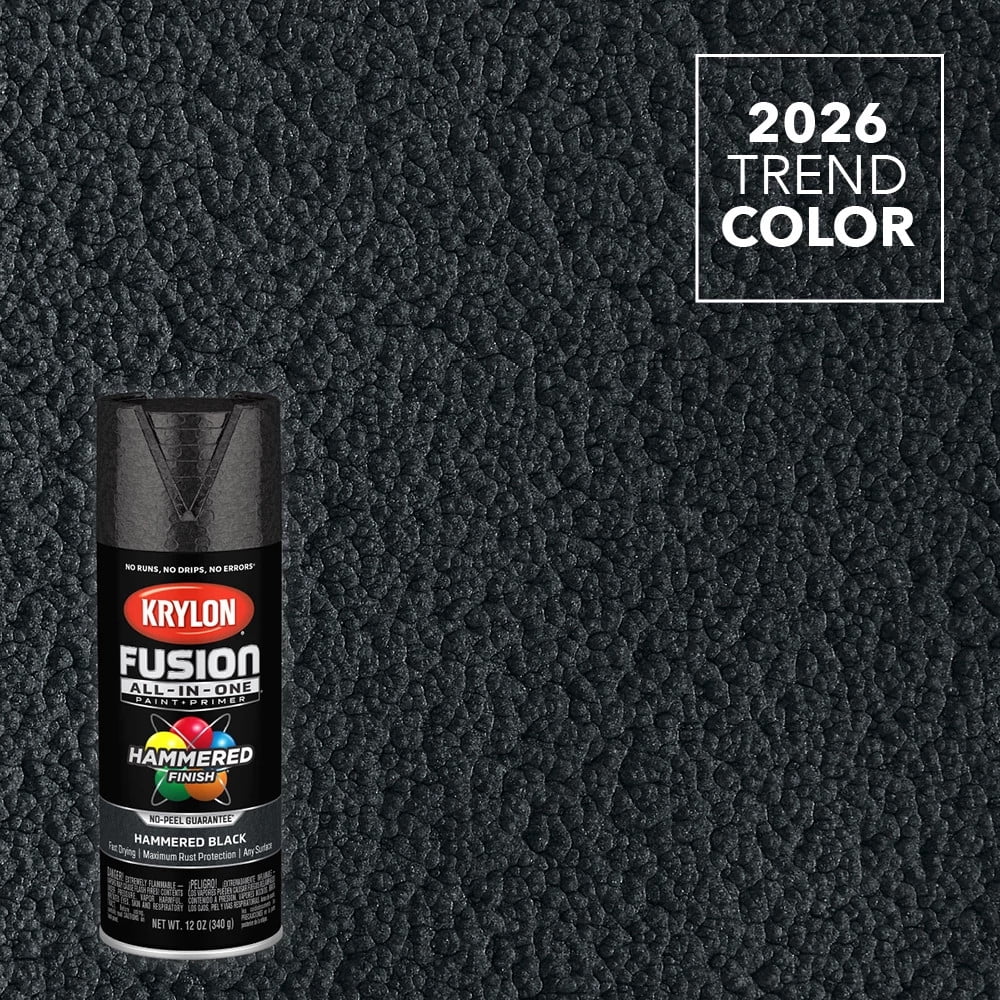 Krylon Fusion All-In-One Spray Paint Hammered, Black, 12 oz.