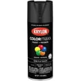 thumbnail image 1 of Krylon K05578007 COLORmaxx Spray Paint and Primer for Indoor/Outdoor Use, Semi-Flat Black, 1 of 7