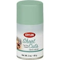 thumbnail image 1 of Krylon KSCS08600 Short Cuts Aerosol Paint, Cactus Green, 3 oz, 1 of 5