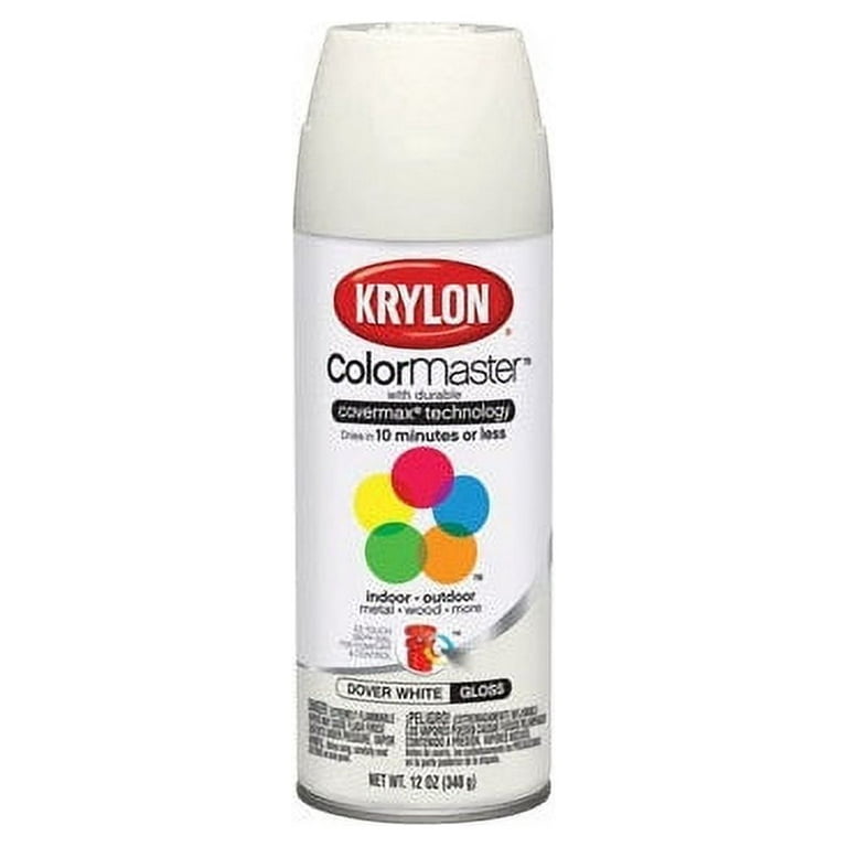 Krylon Spray Paint Decorator Enamel Chrome Aluminum 12oz - Warren