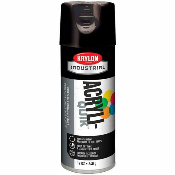Krylon Products Group B37838 Interior-Exterior Paint, Gloss Black - Case of 6
