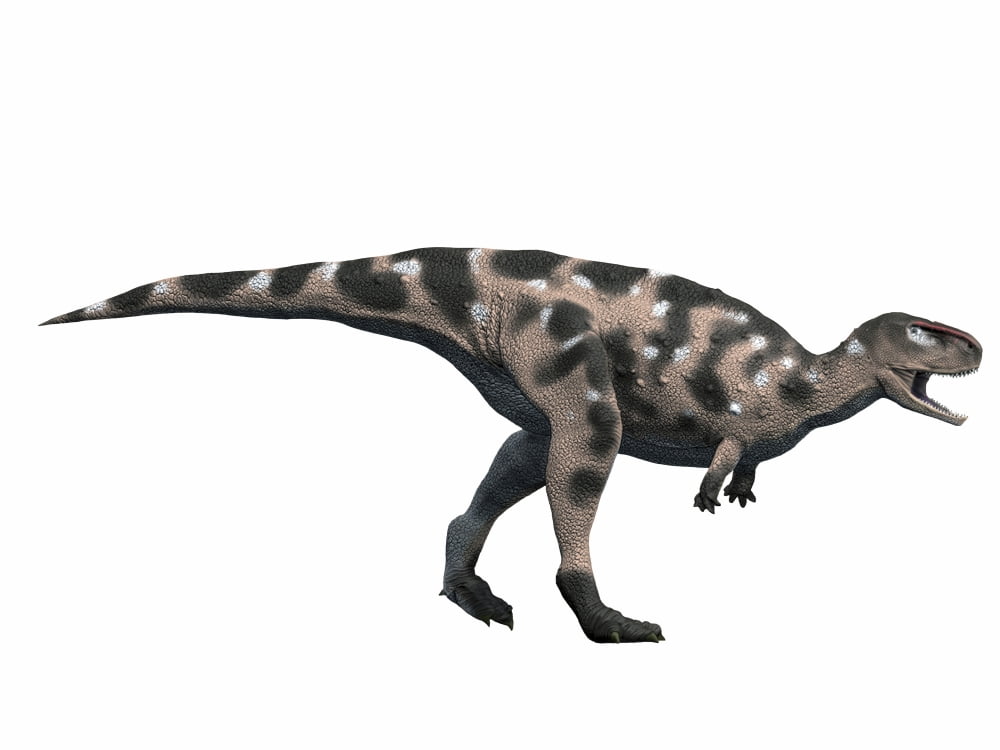 Kryptops palaios Early Cretaceous of Niger Canvas Art - Nobumichi TamuraStocktrek Images (33 x 25)