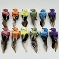 thumbnail image 1 of Ksopiavobs 12pcs Small Artificial Simulation Foam Feather Bird with Wire Feet 3-Inch Realistic Sparrow Ornaments for Craft Project Christmas Tree Decoration Seasonal Display Claw, 1 of 6