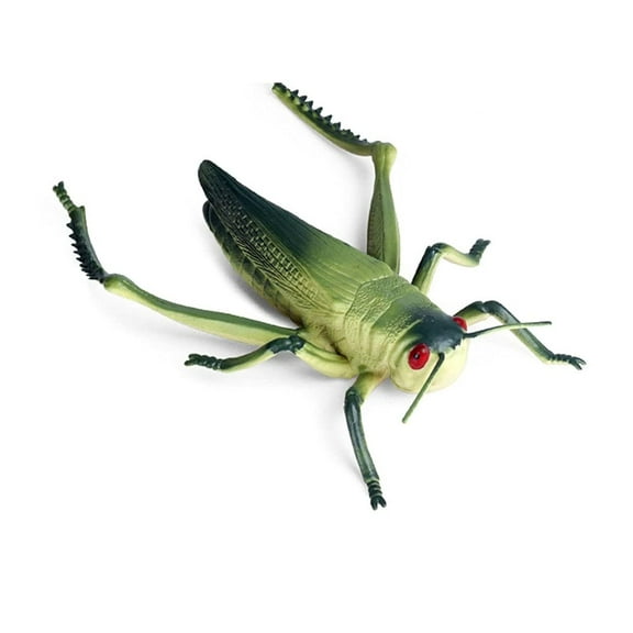 Ksopiavobs Animal Figures Realistic Plastic Grasshopper Animal Action Model Science Project, Learning Educational Toys, Birthday Gift, Cake Topper for Kids Toddlers