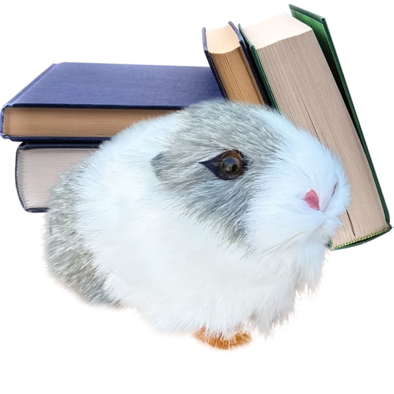 Ksruee Hamster Stuffed Animal Realistic Cute Soft Cuddle Doll Cute Hamster Plush Stuffed Animal for Companion Comfort Kids Pet Lovers Collectors Home Office Dorm Bedroom fit