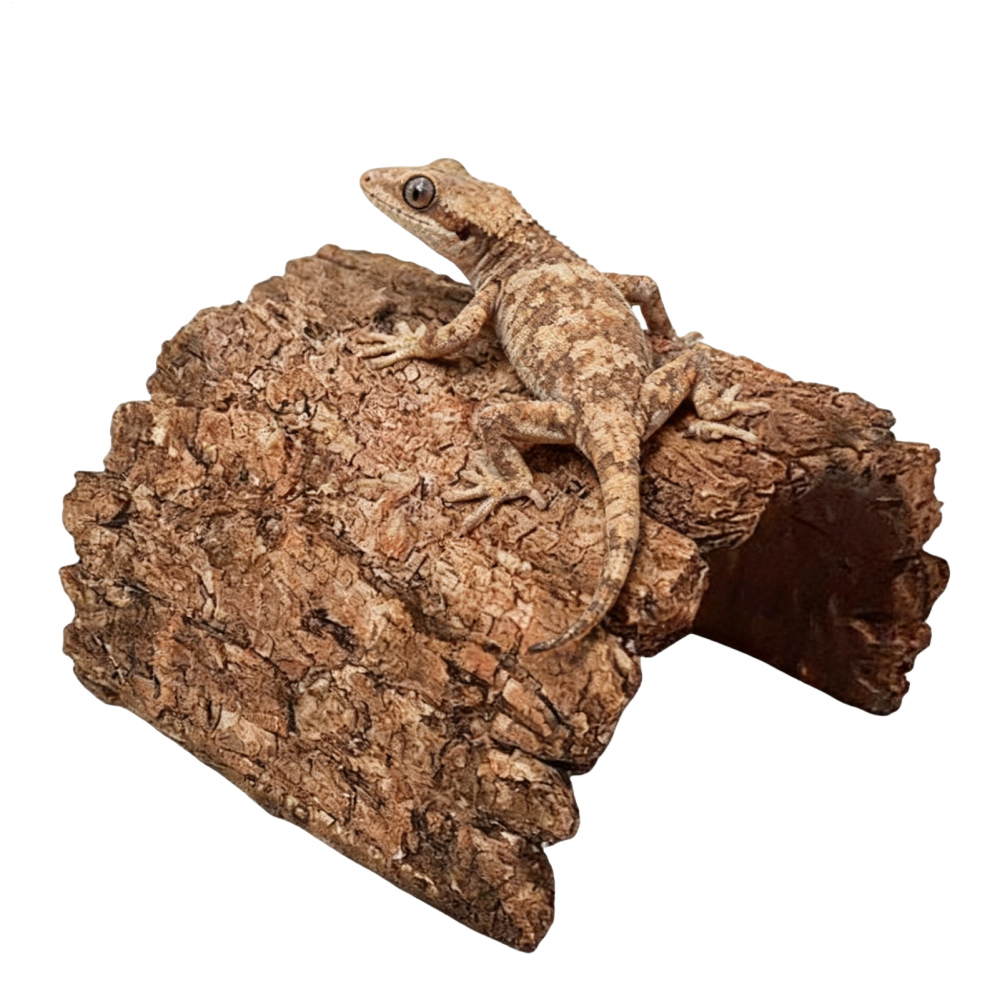 Ksruee Toad House Resin Cave Shelter Tortoise Shelter for Bearded Dragon Leopard Turtle Frog Geckos Reptiles Amphibians Aquarium Tank everybody