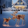 Ktaxon 2Piece Lighted Christmas Deer Family, Outdoor Yard Decoration