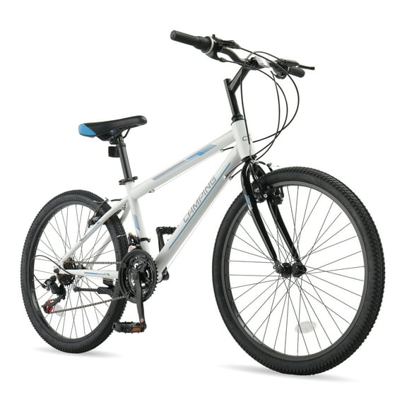 Ktaxon 24 inch Mountain Bike for Women, Dual V Brakes 21 Speeds Women Bike