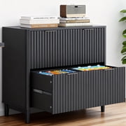 Ktaxon Wood 2-Drawer File Cabinet Office Filing Organizer for Home Office, Filing Cabinet Nightstand for Letter Legal A4 Size File Folder Storage, Black