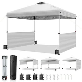 Coleman OASIS Lite 7x7 Easy Setup Lightweight Sun Shelter