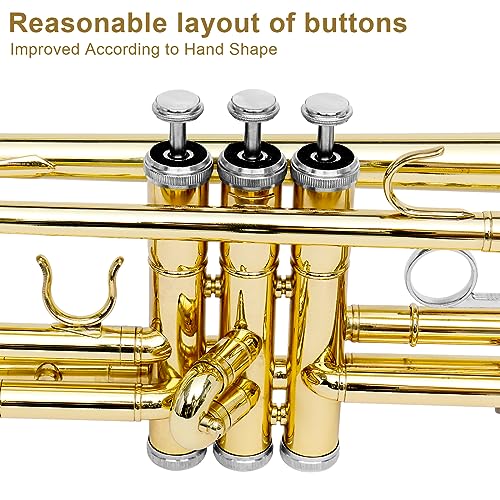 Ktaxon Bb Standard Trumpet for Beginners,Trumpet for Student with Hard