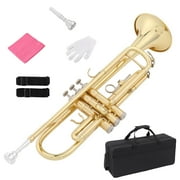 Ktaxon Bb Standard Trumpet Set, Gold Lacquer Brass with Case for Students Beginner School Band