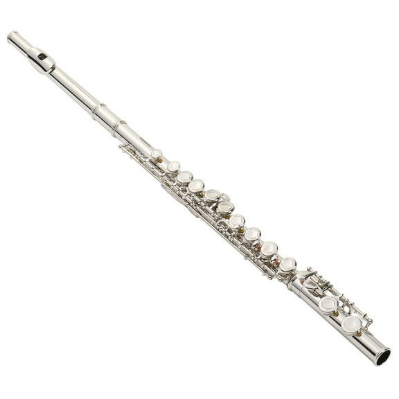 Ktaxon Nickel Plated C Closed Hole 16 Key Flute for Student with Case E Key Silver