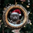 thumbnail image 1 of Ktoot 1pc Cat Christmas Ornament 2025,Forest Animal Christmas Ornaments,Christmas Tree Animal Pattern 2D Acrylic Ornament,Cute Decor for Christmas Tree,Christmas Decor Keepsake Gifts, 1 of 3