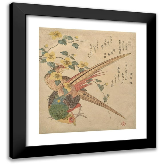 Kubo Shunman 20x22 Black Modern Framed Museum Art Print Titled - Pair of Chinese Pheasants and a Branch of Yamabuki Flowers (ca. 1810)