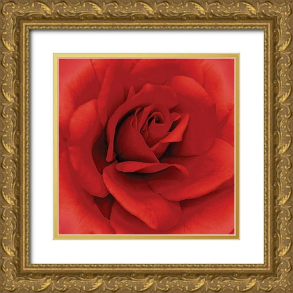 Kuchera, H 15x15 Gold Ornate Wood Framed with Double Matting Museum Art Print Titled - Anniversary Rose