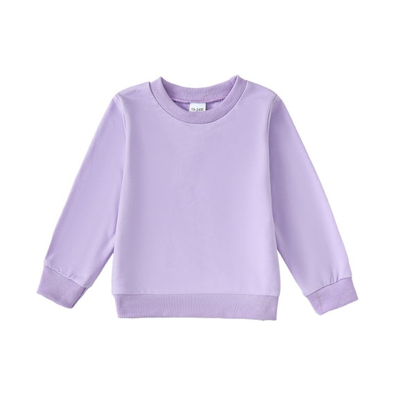 Kucnuzki 2T Toddler Girl Winter Tops Baby Girl Sweatshirt 3T Long Sleeve Casual Sylish Pure Color Round Neck Sweatshirt Purple