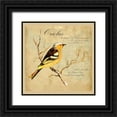 thumbnail image 1 of Kuco 26x26 Black Ornate Wood Framed with Double Matting Museum Art Print Titled - Oriolus Bird Illustration, 1 of 4