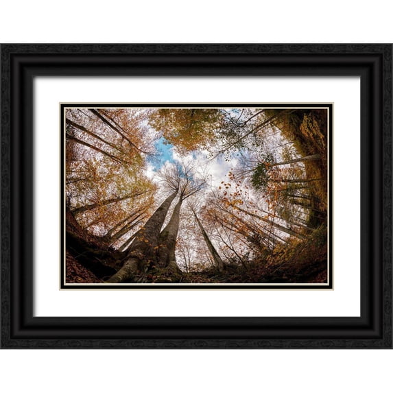 Kucuk, Hakime 18x13 Black Ornate Wood Framed with Double Matting Museum Art Print Titled - Forest