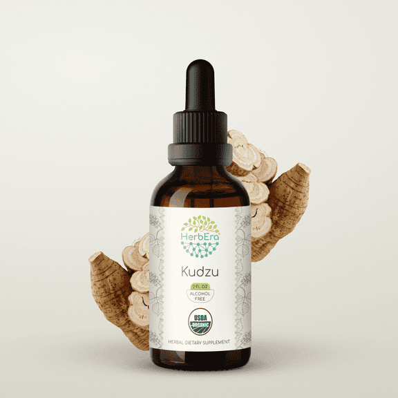 HerbEra Kudzu Tincture, Organic Herbal Dietary Supplement for Digestive Support, Certified Organic Kudzu (Pueraria lobata) Dried Root Extract, Natural, Alcohol-Free, Drops 2 oz