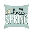 thumbnail image 1 of Kugisaki Easter Throw Pillow Cover 18x18 Inch Easter Spring Decorative Pillow Cases for Couch Sofa Bedroom Living Room, 1 of 6