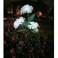 thumbnail image 1 of Kugisaki Solar Lights 3 LED Hydrangea Flower Lights Outdoor Waterproof Plastic Garden Stake Lights for Yard Pathways Decor, 1 of 7