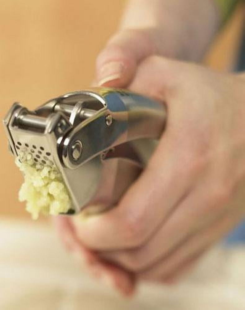 Epicurean garlic press stainless steel order online now