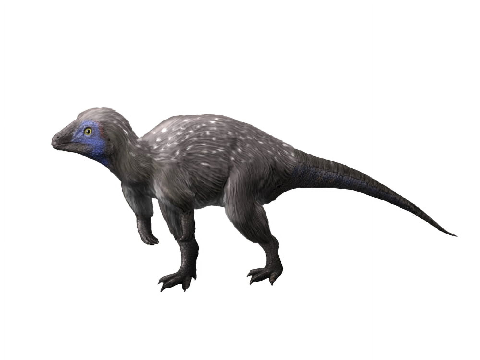 Kulindadromeus is a neornithischian from the Jurassic period Canvas Art - Nobumichi TamuraStocktrek Images (17 x 13)