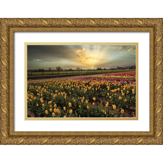 Kulkarni, Sunil 14x11 Gold Ornate Wood Framed with Double Matting Museum Art Print Titled - Natures Bounty