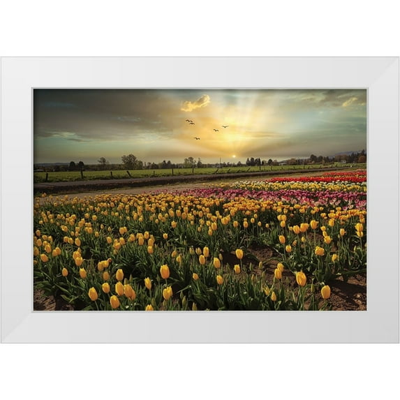 Kulkarni, Sunil 24x17 White Modern Wood Framed Museum Art Print Titled - Natures Bounty