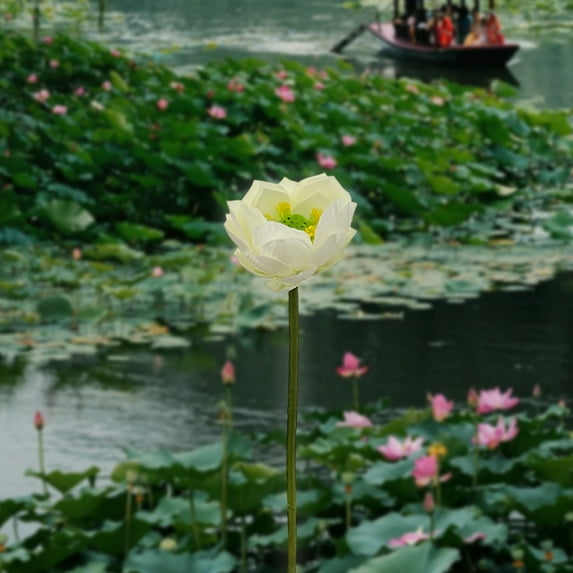 Kumdkd Artificial Lotus Flowers Decor - Realistic Pink Water Lilies for Buddha Altar, Fish Tank & Home Decor - Fade-Proof Silk Fabric Floral Arrangement (1PC)