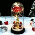 thumbnail image 1 of Kumdkd Christmas Rose Gifts for Women Mom, Rechargeable Galaxy Glass Rose Light Up Roses In Glass Dome Enchanted Crystal Flower Gift Anniversary Birthday Xmas Gifts for Women Her Wife Grandma Rainbow, 1 of 6