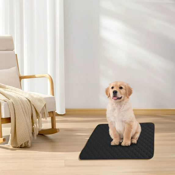 Kumdkd Extra Thick Reusable Pet Urine Pad - 5-Layer Washable Puppy Pad with Odor Control, Fast Absorption for Dogs & Cats - Non-Slip Kennel/Car/Travel Mat (19.7x13.8in, Black)