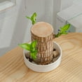 thumbnail image 1 of Kumdkd White Ceramic Plant Brazilian wood Tray - 6" Brazilian Wood Base & Bonsai Drip Catcher - Waterproof Desk Decor for Office/Lucky Bamboo/Succulents, 1 of 4